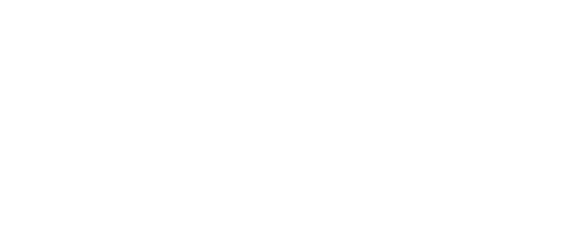 Novo Logo HCN